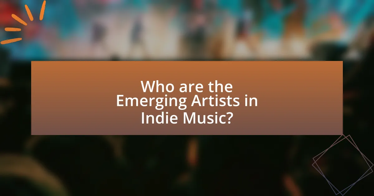 Who are the Emerging Artists in Indie Music?